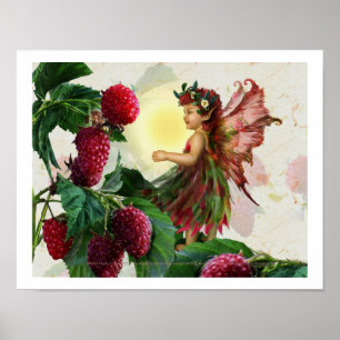 Poster Framboise