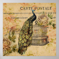 francais Art nouveau vintage paon