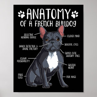 Poster Français Bulldog Anatomie Français Amoureux des ch