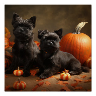 Poster Français Chien Chien Chien Chien Chien Puppy Autom