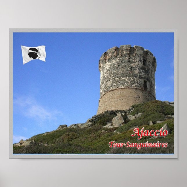 Poster France - Corse - Ajaccio - (Devant)