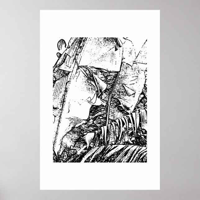 Poster Franges bananes (Devant)