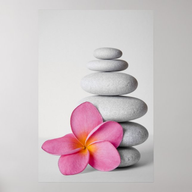 Poster Frangipani Calme (Devant)