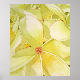 Poster Frangipani jaune citron