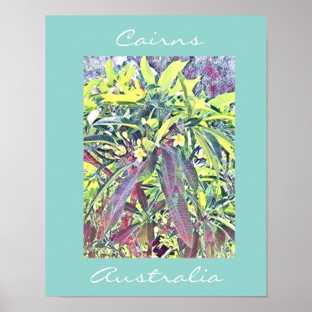 Poster Frangipani Tree Cairns Australie tropicale (Devant)