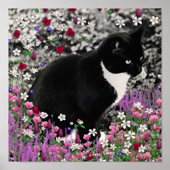 Poster Frappes en Fleurs II - Tuxedo Kitty Cat (Devant)