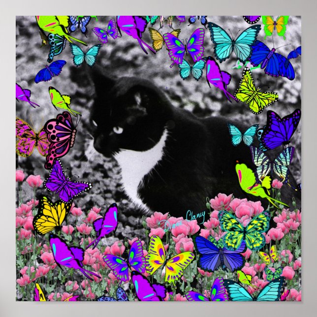 Poster Frapules dans Butterflies II - Tuxedo Cat (Devant)