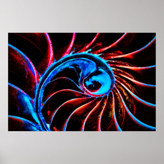 Poster Freaky Nautilus (Devant)