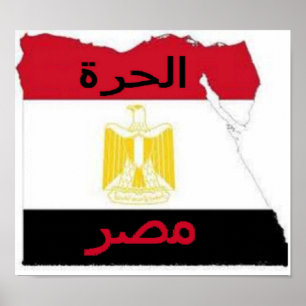 Poster - Free Egypt Imprimer