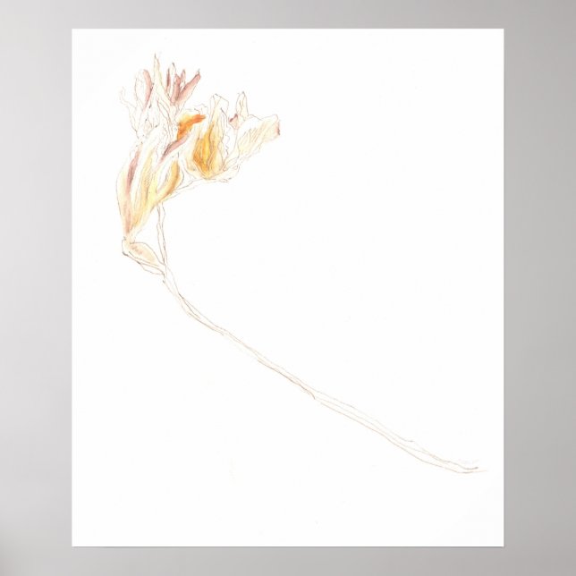 Poster Freesia No. 3 séché (Devant)