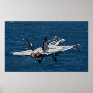 Poster Frelon de F/A-18C