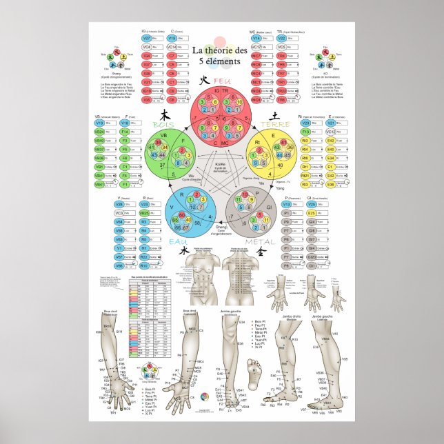 Poster French Five Elements Acupuncture (Devant)