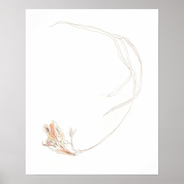 Poster Frénésie séchée 1 (Devant)