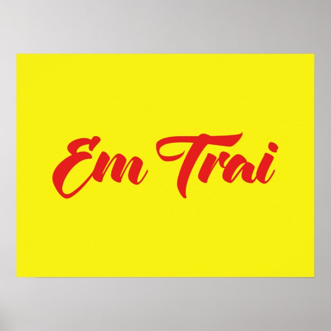 Poster Frère Vietnamien (Jeune) - Em Trai ~ Tiêt Viêt (Devant)
