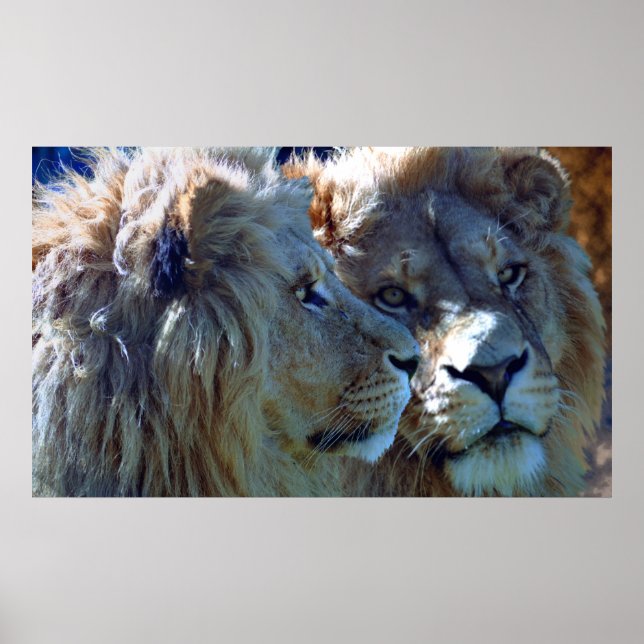 Poster Frères (Devant)