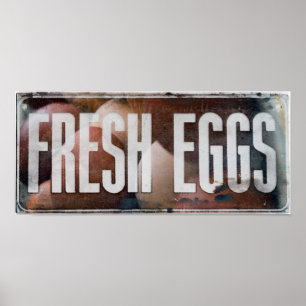 Poster Fresh Eggs