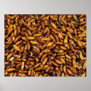 Poster Fried Silk Worms ... Thai Street Food