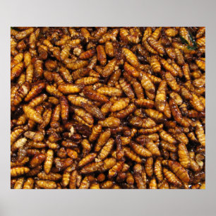 Poster Fried Silk Worms ... Thai Street Food
