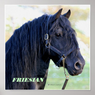Poster Friesian