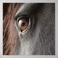 Poster Friesian Horse Eye Imprimer