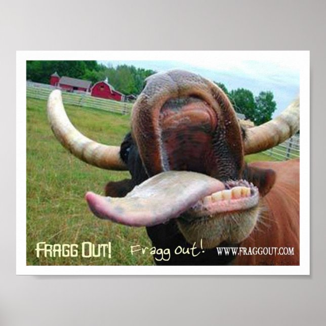 Poster frisson de langue de vache (Devant)