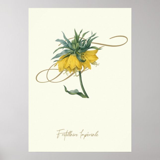 Poster Fritillaire (Devant)