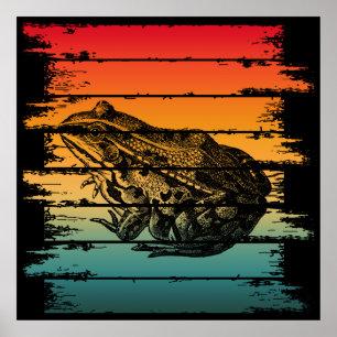 POSTER FROGUE VINTAGE