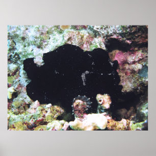 Poster Fromage géant noir