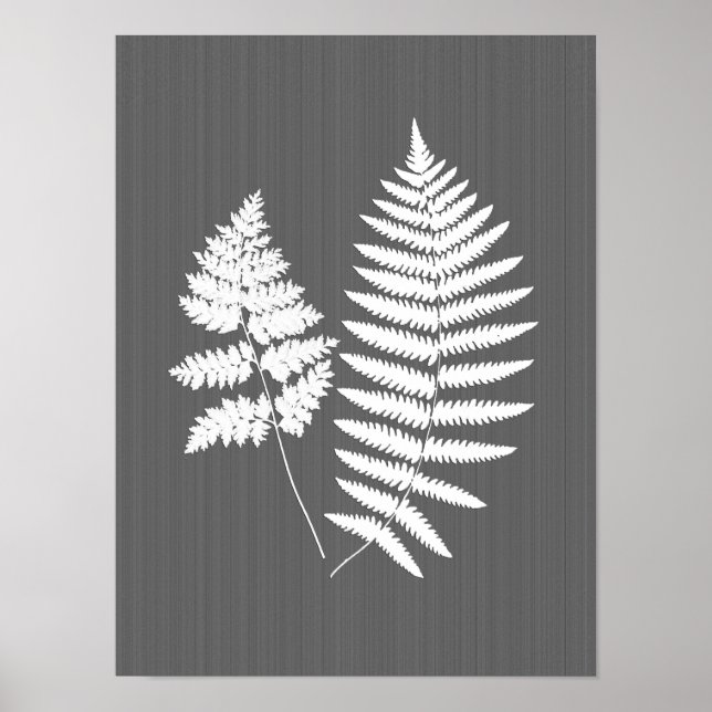 Poster Fronds de fougères, blanc sur gris charbon / gris (Devant)