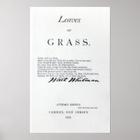 Frontispiece aux "Feuilles d'herbe"