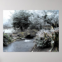 Frost et glace dans un jardin Somerset