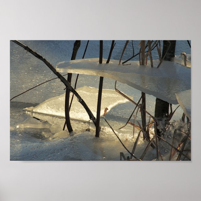 Poster Frozen Marsh Ice Maine Winter Scenery (Devant)
