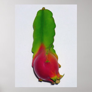 Poster Fruit de dragon