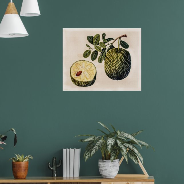 Poster Fruit et feuillage durian (Salon 1)