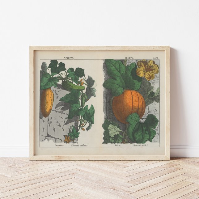 Poster Fruits | Charlotte Mary Yonge (Créateur téléchargé)