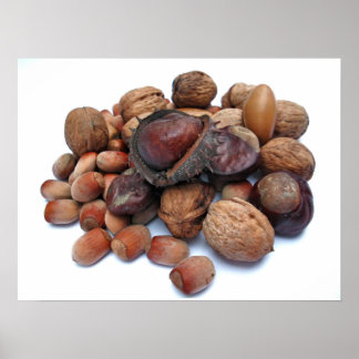 Poster Fruits d'automne