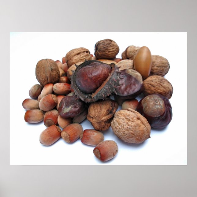 Poster Fruits d'automne (Devant)