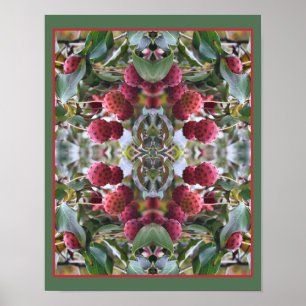 Poster Fruits de Dogwood rouge Nature Abstraite