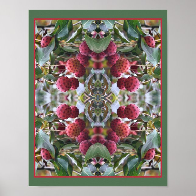 Poster Fruits de Dogwood rouge Nature Abstraite (Devant)