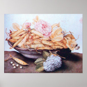 POSTER FRUITS DE SAISON 6 - HARICOTS ET ROSE