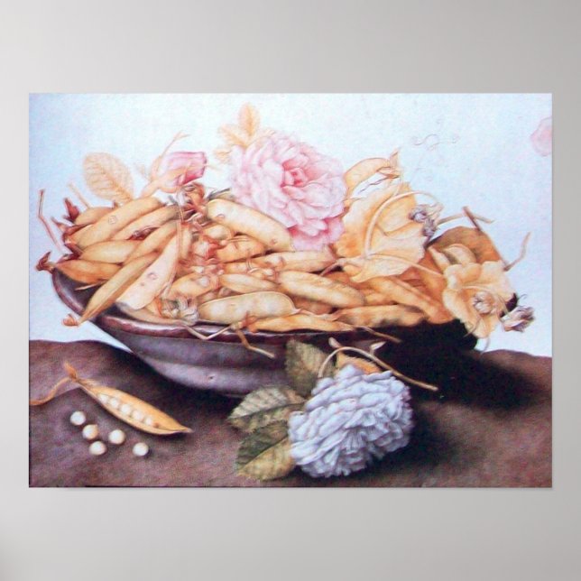 POSTER FRUITS DE SAISON 6 - HARICOTS ET ROSE (Devant)