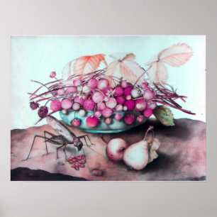 POSTER FRUITS DE SAISON / FRAISES ET POIRES