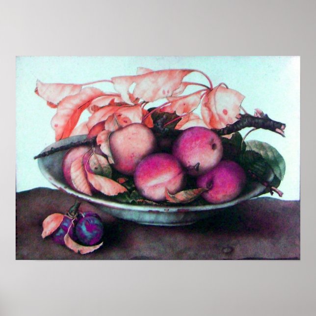 POSTER FRUITS DE SAISON / PÊCHES ET PRUNES (Devant)