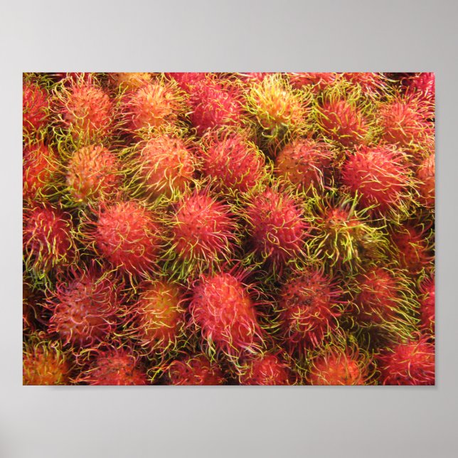 Poster Fruits tropicaux Rambutan (Devant)