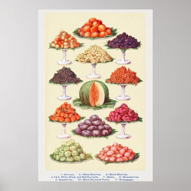 Poster Fruits vintages (Devant)