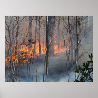 Poster Fumée brûlante