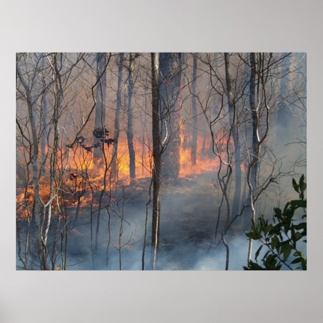 Poster Fumée brûlante (Devant)