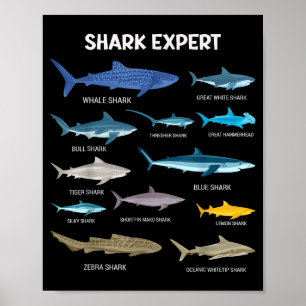 Poster Fun Tee-shirt Requin Pour Hommes Océan Poisson Enf