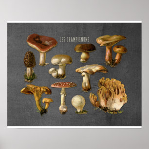 Poster Fungi Art, Botanique Imprimé, Décor Cuisine