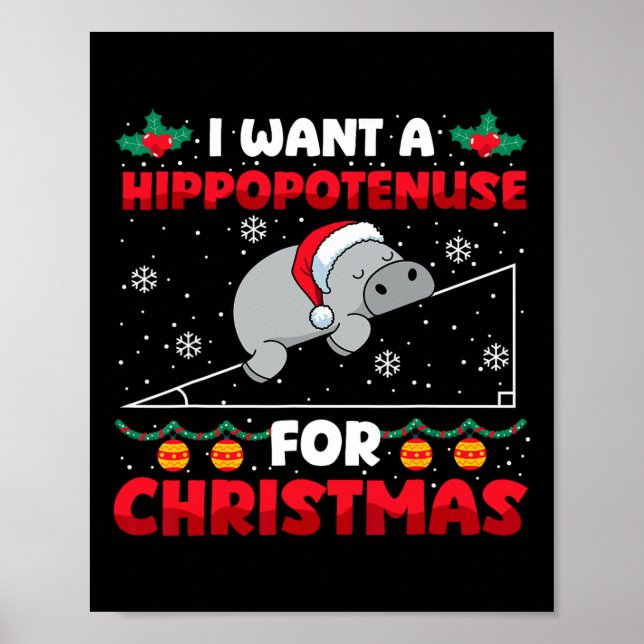 Poster Funky Noël Math Enseignant Hippopoténose Math Lo (Devant)